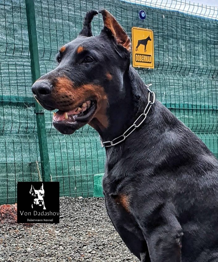 101344950_870068983476199_2216098932867554422_n