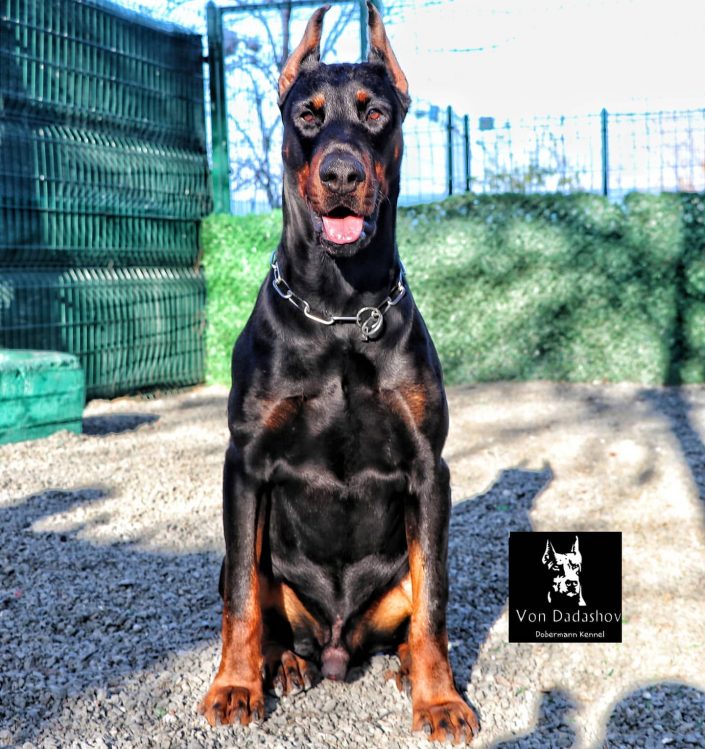 103631202_156451045939596_1657397660265013890_n