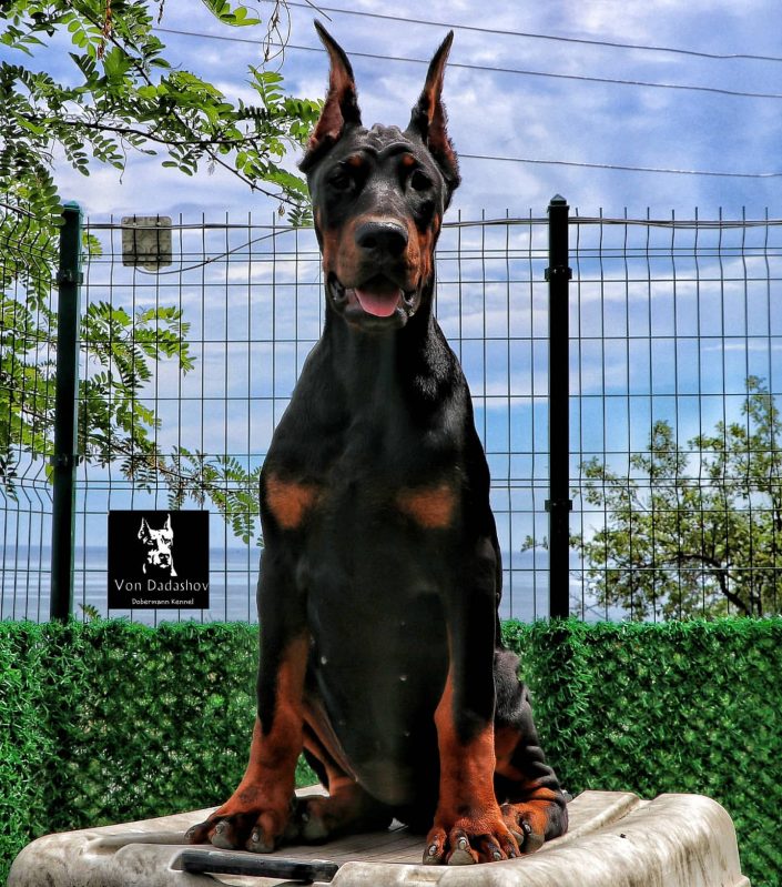 103692983_148589043457330_5457895067314001828_n