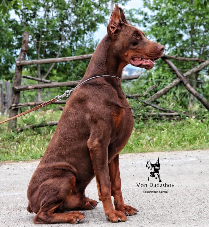 103984773_309646270052050_4225201925822074816_n