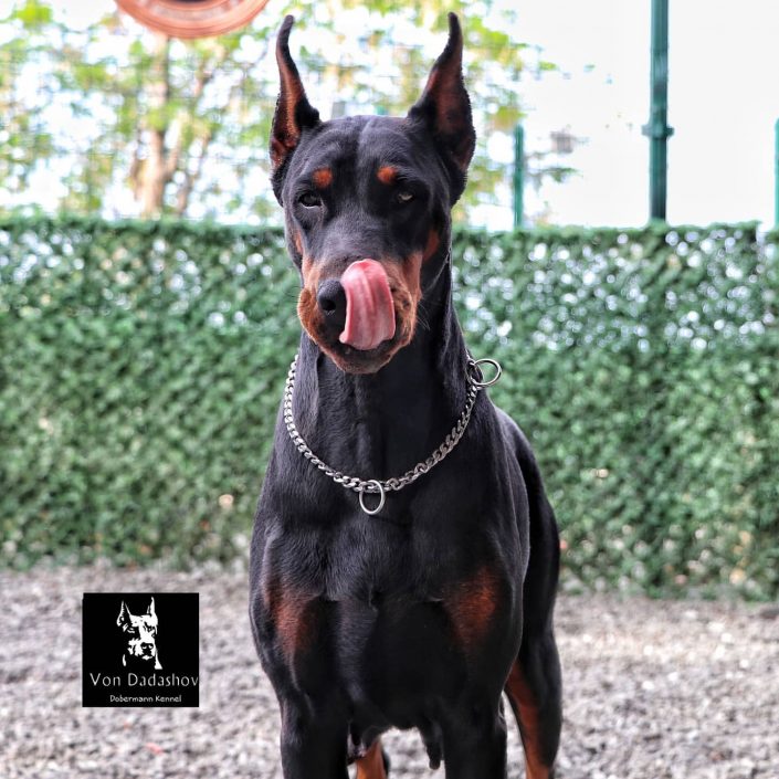 104225916_694482328060656_692889520426602983_n