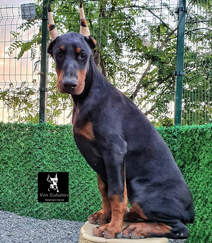 105963193_571128373533658_5659108969003893911_n