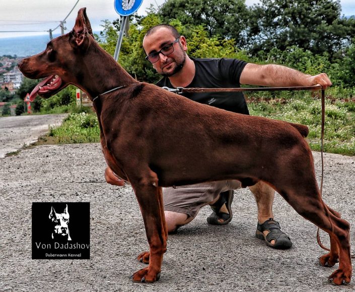 105972245_1732110353607026_2943448465746088975_n