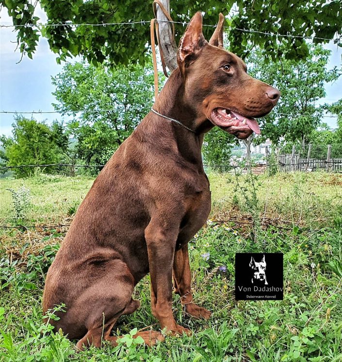 106024436_1049480812150910_5642114541817107028_n