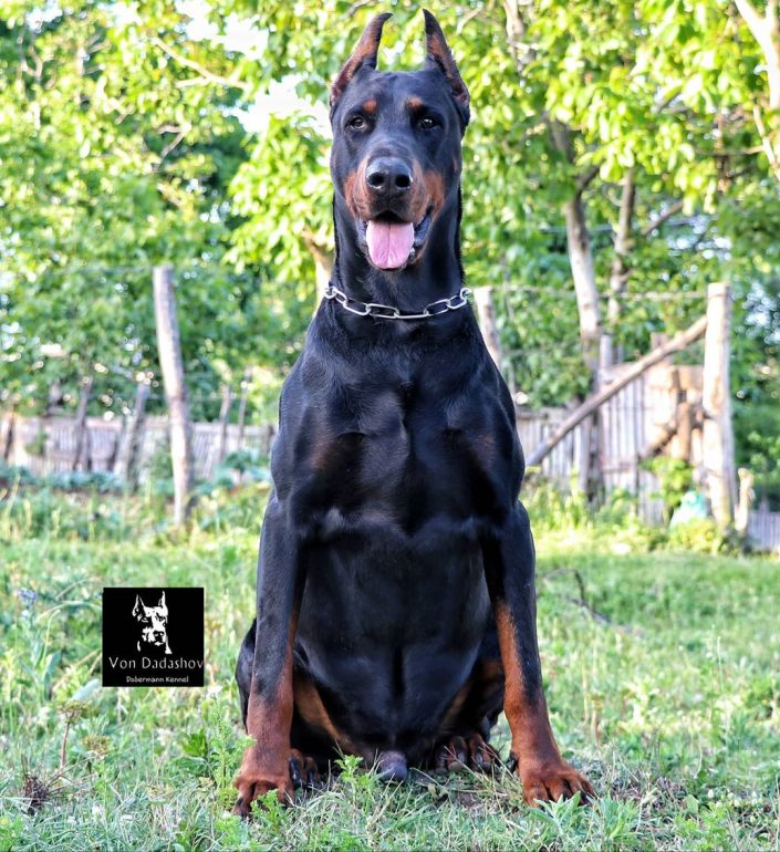 106121753_802794173796309_5372595066059785150_n