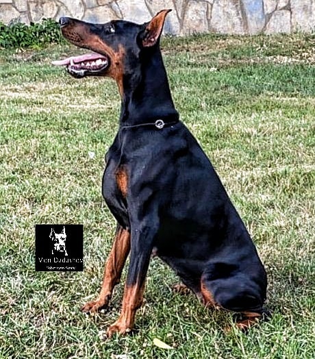 82191498_3632248826801987_9099763760764850730_n