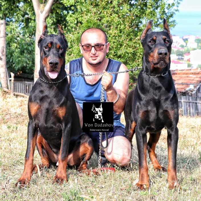 83717780_1156066471437736_4262315070848554890_n