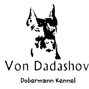 Von Dadashov Dobermann Kennel